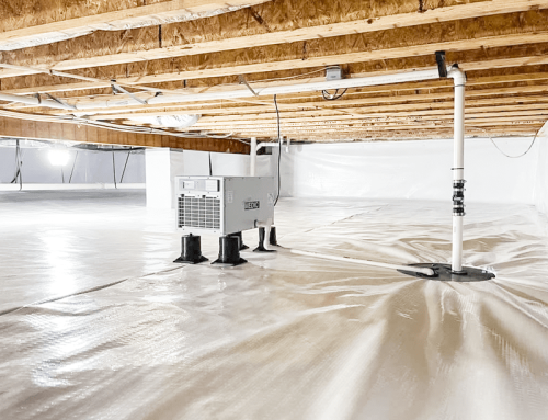 4 Things They Don’t Tell You When You Shop for a Crawl Space Dehumidifier