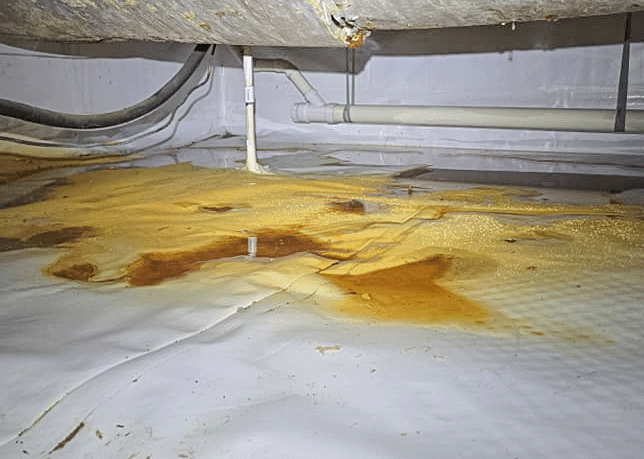 Photo showing crawl space drain leak